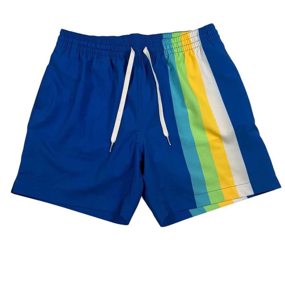 Chubbies The Brewsters Swim Trunks Mens Medium Blue Multicolor Striped Shorts
